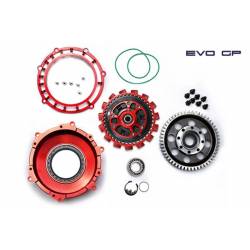 Stm Evo GP-Ducati V2...
