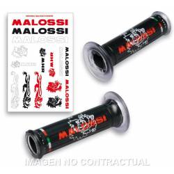 Malossi motorcycle engine...