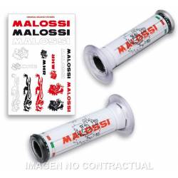 Malossi motorcycle engine...