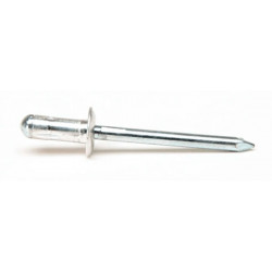 Stainless steel rivet, with...