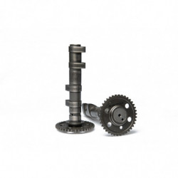 Malossi double camshaft...
