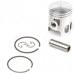 Piston for airsal cylinder...
