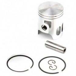 Piston for airsal cylinder...