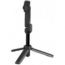 Tripod/selfie stick quad...