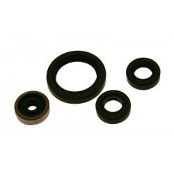 Centauro oil seal set para...