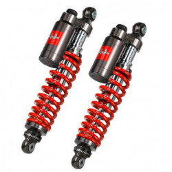 Bitubo wmt01 twin rear...