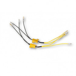 Shin yo resistor de...