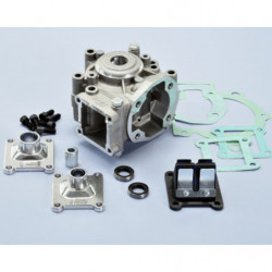 Carter motor polini con...