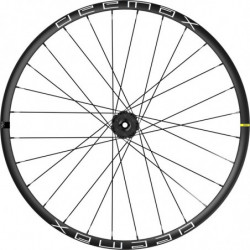 Mavic deemax 29 is rear...