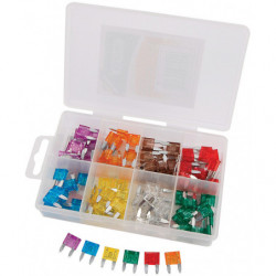 Caja de 100 mini fusibles...