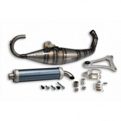 Malossi mhr team exhaust...
