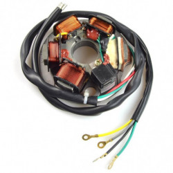 Stator tecnium vespa 50/125...