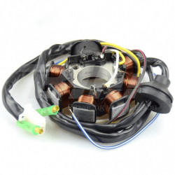 Tecnium stator yamaha aerox...