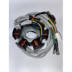Stator tecnium piaggio...