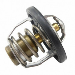 Termostato tourmax tmt-202...