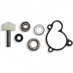Kit reparacion bomba de...