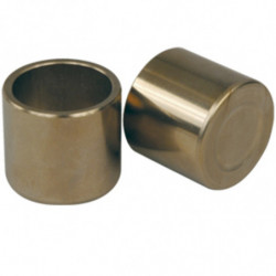 Kit pistones para pinza de...