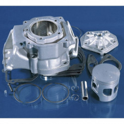 Kit polini motor rotax...