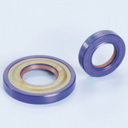 Retenes polini ptfe/fkm...