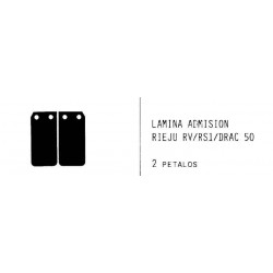 Laminas carbono rieju rv 50...