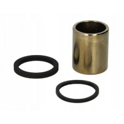 Kit pistones de pinza de...