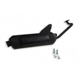 Malossi wild lion exhaust...
