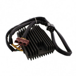 Regulador tourmax para moto...