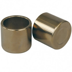 Kit pistones para pinza de...