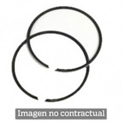 Segmento polini d.61x1,5...