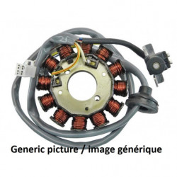 Stator tecnium yamaha r1...