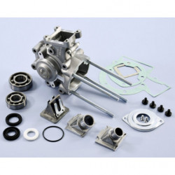 Carter motor polini con...