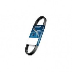 Dayco extreme extra...