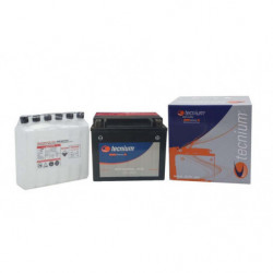 Bateria tecnium btx20l-bs...