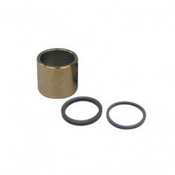 Kit pistones para pinza de...