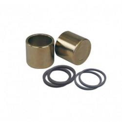 Kit pistones para pinza de...