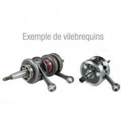 Vilebrequin tecnium racing...