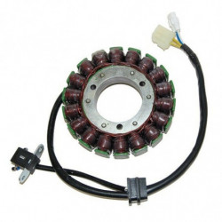 Estator electrosport para...