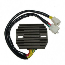 Regulador electrosport-moto...