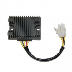 Regulador electrosport-can...