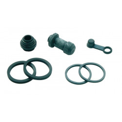 Kit reparacion pinza de...