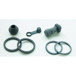 Kit reparacion pinza de...