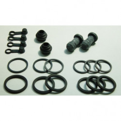 Kit reparacion pinza de...
