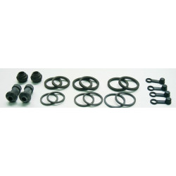 Kit reparacion pinza de...