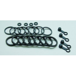 Kit reparacion pinza de...