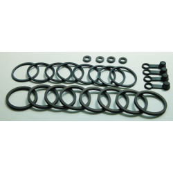 Kit reparacion pinza de...
