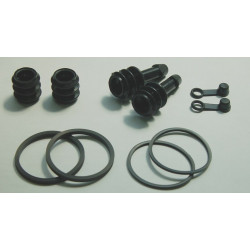 Kit reparacion pinza de...
