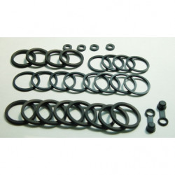Kit reparacion pinza de...