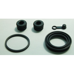 Kit reparacion pinza de...