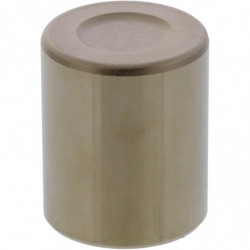 Piston pinza de freno...