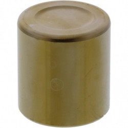 Piston pinza de freno...